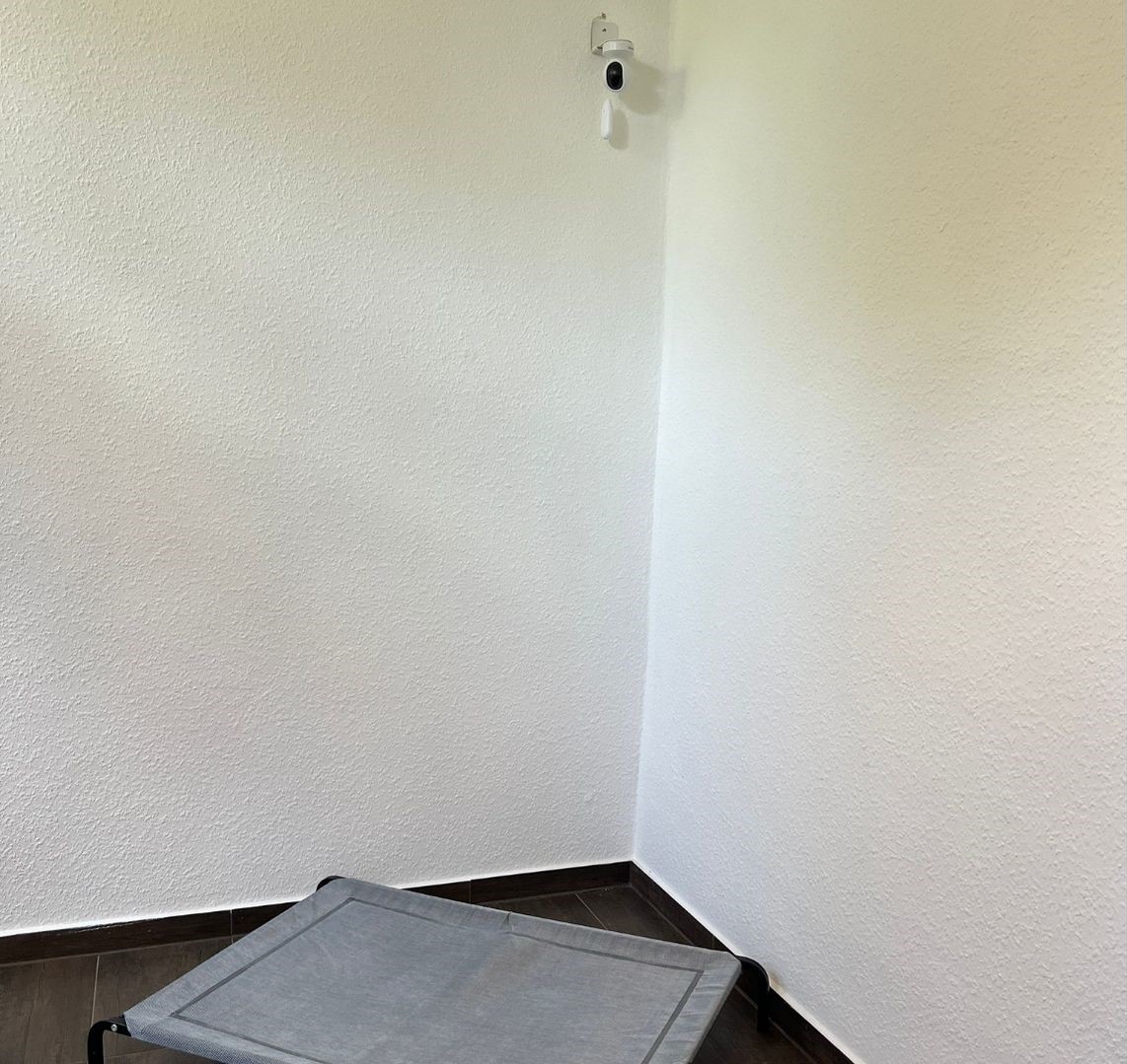 Raum mit einer Überwachungskamera in der Ecke und einem erhöhten Hundebett auf dem Boden.